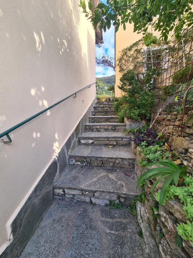 Castrusso Il Frantoio Di Rapallo By Portofinovacanze Luaran gambar